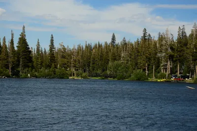 DSC_0046 (Large).JPG